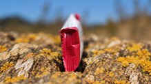 226ERS High Fructose Gummy Bar 60g