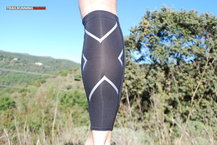 2XU Compression Calf Guards