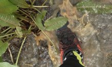 Adidas Kanadia TR 8: No son impermeables, pero evacuan bien el agua