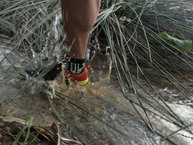 Adidas Kanadia TR 8: No son impermeables, pero evacuan bien el agua