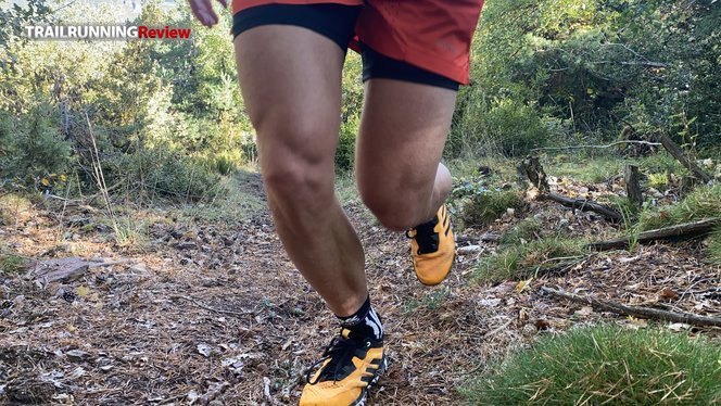 Adidas Terrex Agravic Flow - TRAILRUNNINGReview.com