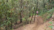 Altra Lone Peak 9+