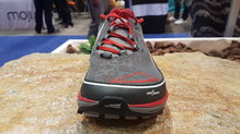 Altra TIMP