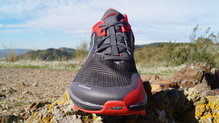Altra Timp 1.5