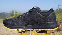 Asics Alpine XT