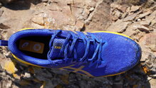 Asics Fuji Lite 2