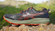 Asics Fuji Lite 3