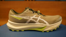 Asics Fuji Lite 6