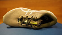 Asics Fuji Lite 6