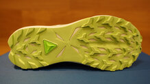 Asics Fuji Lite 6