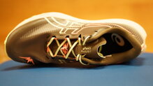 Asics Fuji Lite 7