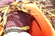 Asics Fuji Trabuco 4: Lengüeta cosida al upper
