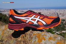 Asics Fuji Trabuco 5