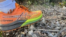 Asics Fujispeed 2: la palca de carbono ejerce de placa protectora