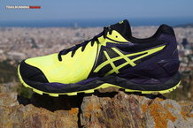 Asics Gel Fuji Endurance