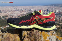 Asics Gel Fuji Endurance