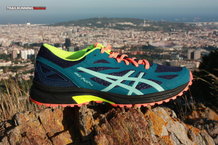 Asics Gel Fuji Pro