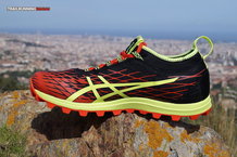 Asics Gel Fuji Runnegade 2