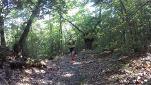 Probadas en el Montseny, terreno ms adecuado.