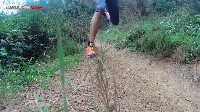 Zapatillas trail running de hombre SAURUS BOREAL - People Sapiens