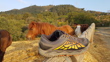 Brooks Caldera: Caballo ganador para hacer kilómetros y kilómetros.