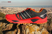 Brooks Cascadia 10