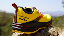 Brooks Cascadia 16