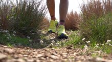 Brooks Cascadia 19