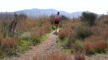 Brooks Cascadia 19