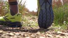 Brooks Cascadia 19