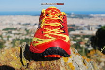 Brooks Cascadia 9