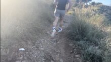 Las Brooks Catamount Agil tienen un drop de 6mm y unos perfiles medio - bajos