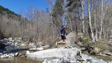 La suela de Brooks Catamount se adhiere muy bien en piedra.