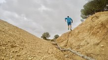 Aunque tambin se defienden en trails no excesivamente tcnicos