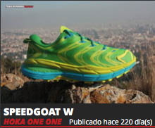 Hoka One One SpeedGoat