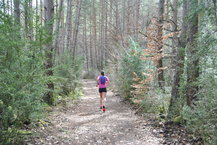 Camelbak Circuit Vest