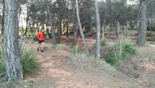 CimAlp Storm Pro 2: Chaqueta verstil, ideal para correr en condiciones extremas de humedad