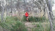 CimAlp Storm Pro 2: Resistiendo roces de arbustos