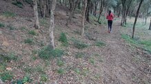 Cimalp Winter Tight: Malla cálidas para temperaturas -0