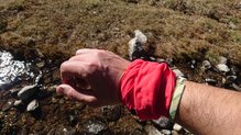 El Compressport Free Belt es flexible y elástico