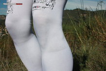 Compressport Full Leg