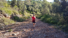 En carrera no hemos tenido que preocuparnos de ellos para nada