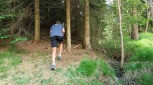 La Dynafit Alpine DNA es la nueva zapatilla de competicin de Dynafit.