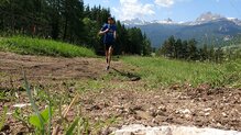 Las Dynafit Alpine DNA tienen una amortiguacin que nos ha gustado mucho.