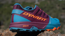 Dynafit Alpine Pro 2