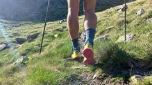 Como dice el nombre, ADN de montaña