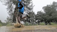 Las Dynafit Sky Pro para corredores que quieran proteccin contra el agua y fro