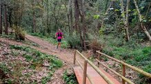 Evadict Bastones Trail Running Carbono: Fiables en todo tipo de terrenos
