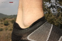 Feetures! Elite Merino+ Light Cushion No Show Tab