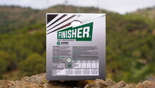 Finisher Endurance